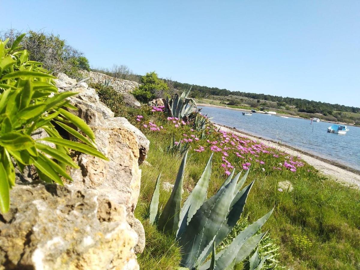 Studio Nefs Des Sables Leucate Eksteriør billede