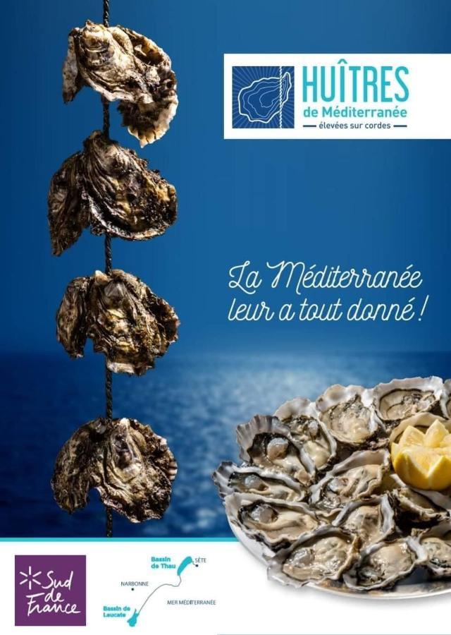 Studio Nefs Des Sables Leucate Eksteriør billede