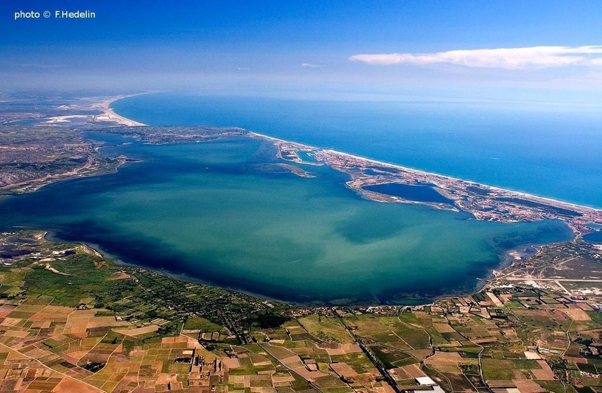 Studio Nefs Des Sables Leucate Eksteriør billede